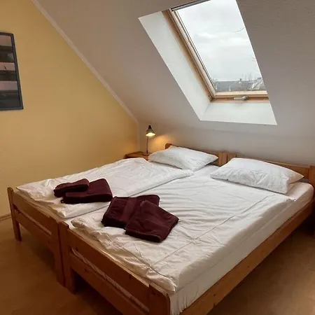 Bernsteinfinder 4 17 Comfortable *