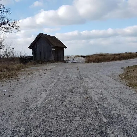 Bernsteinfinder 4 17 Comfortable Zingst